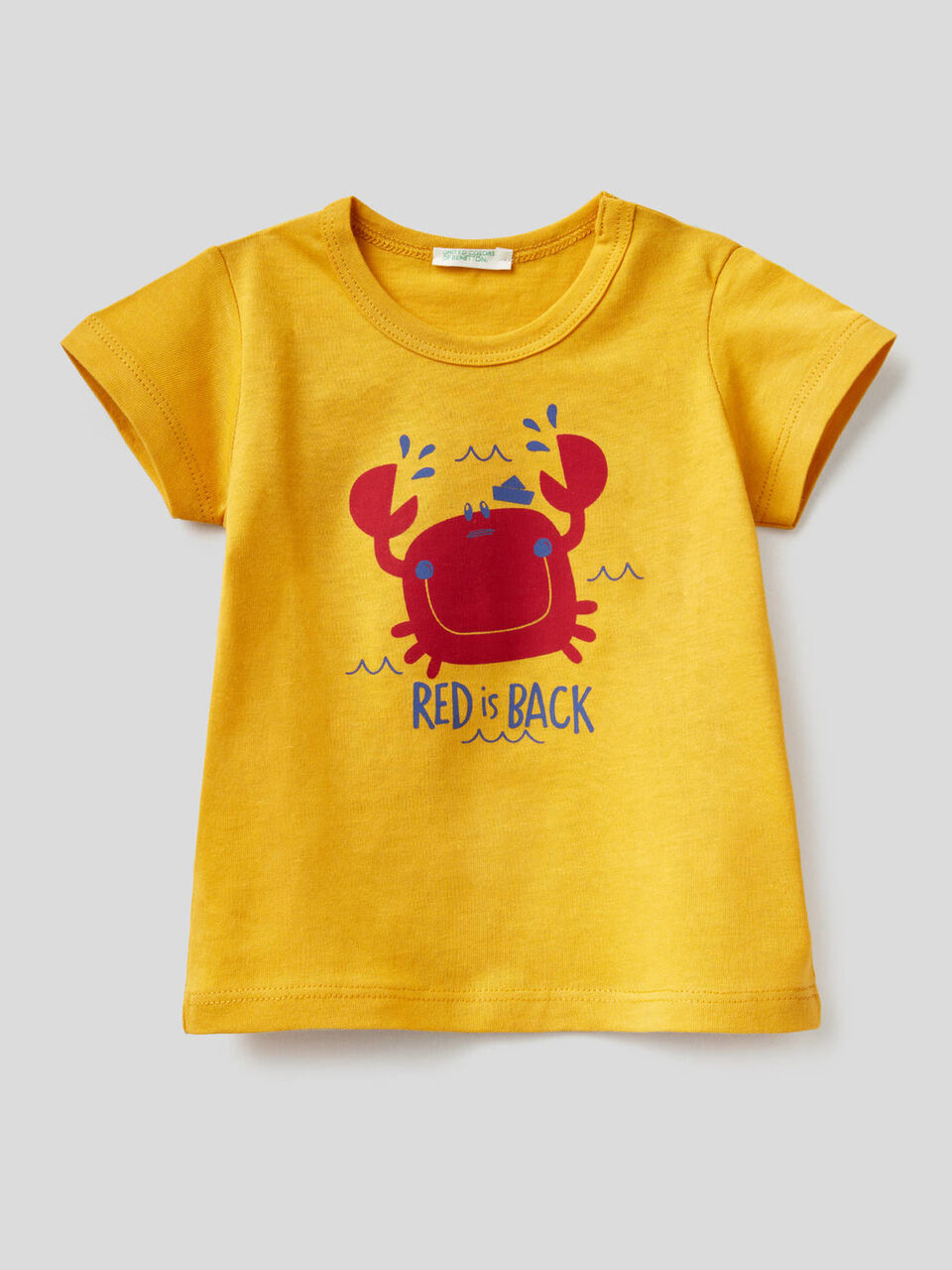 Organic cotton t-shirt with print image number null