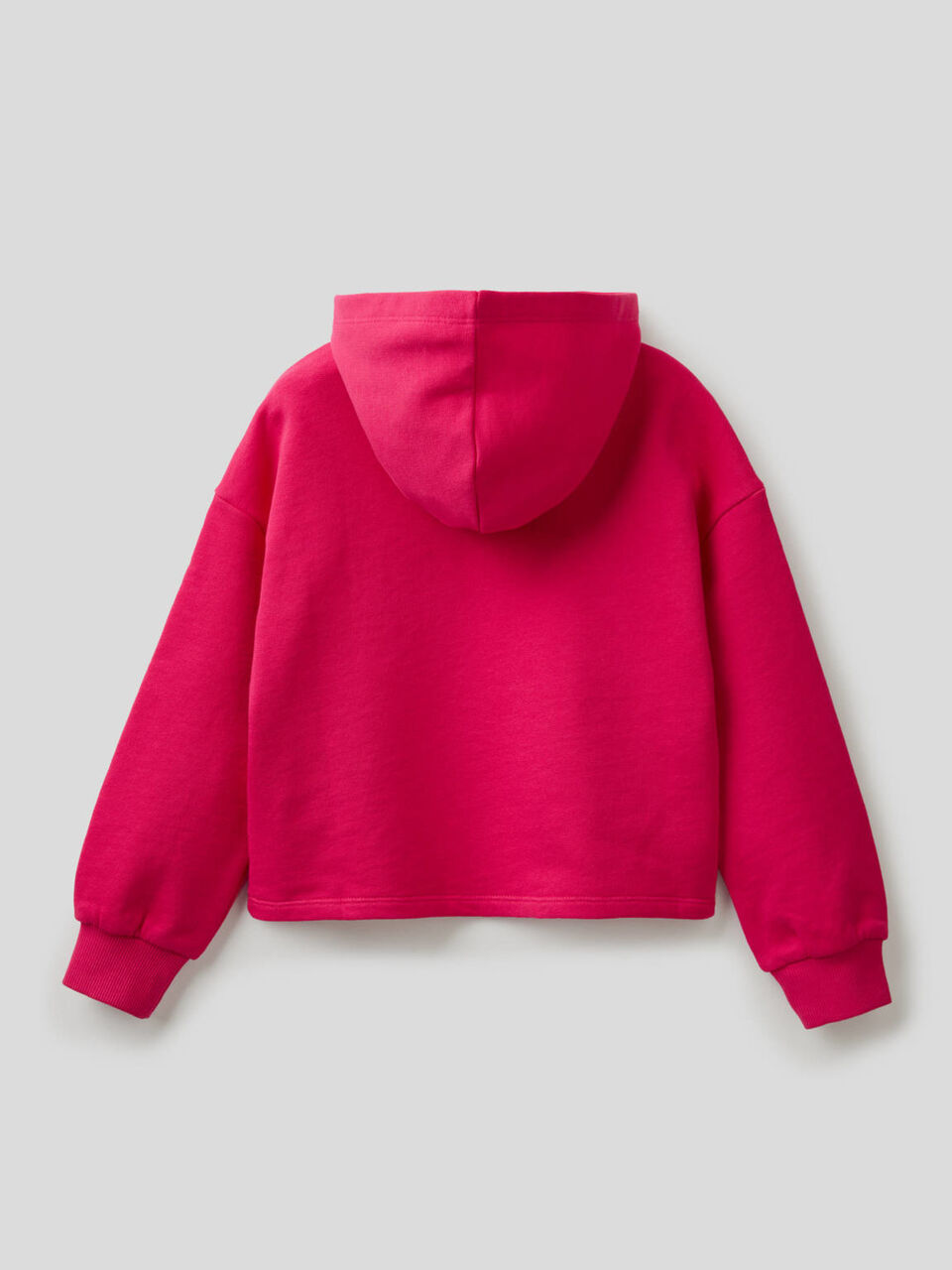 Sweatshirt in cotton with embroidered logo image number null