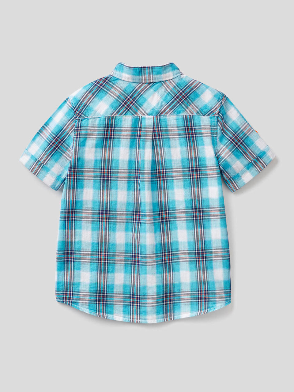 Check shirt with short sleeves image number null