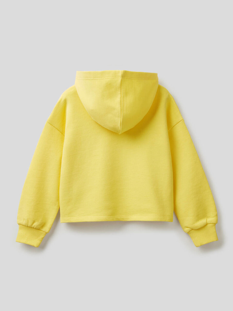 Sweatshirt in cotton with embroidered logo image number 2