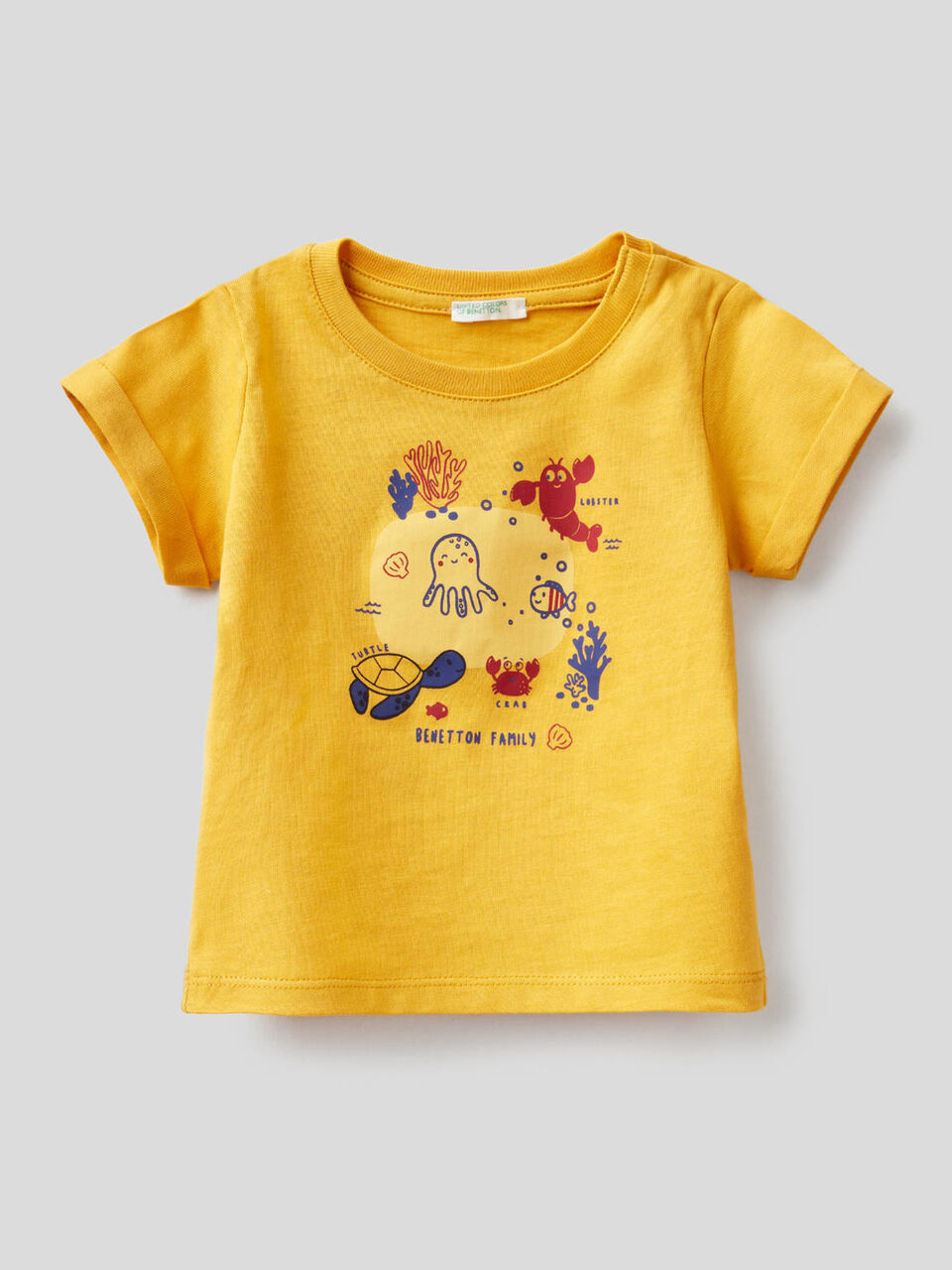 Organic cotton t-shirt image number 1