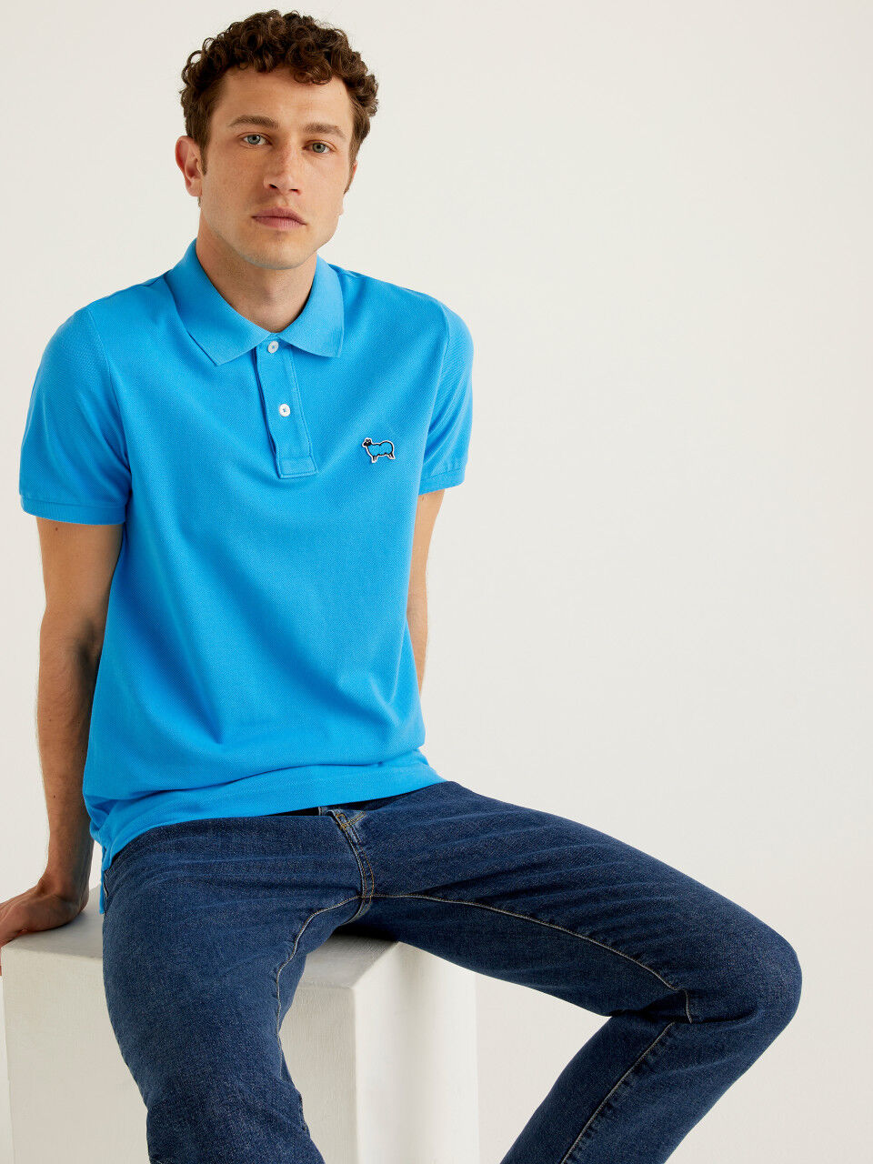 Polo new collection Clearance