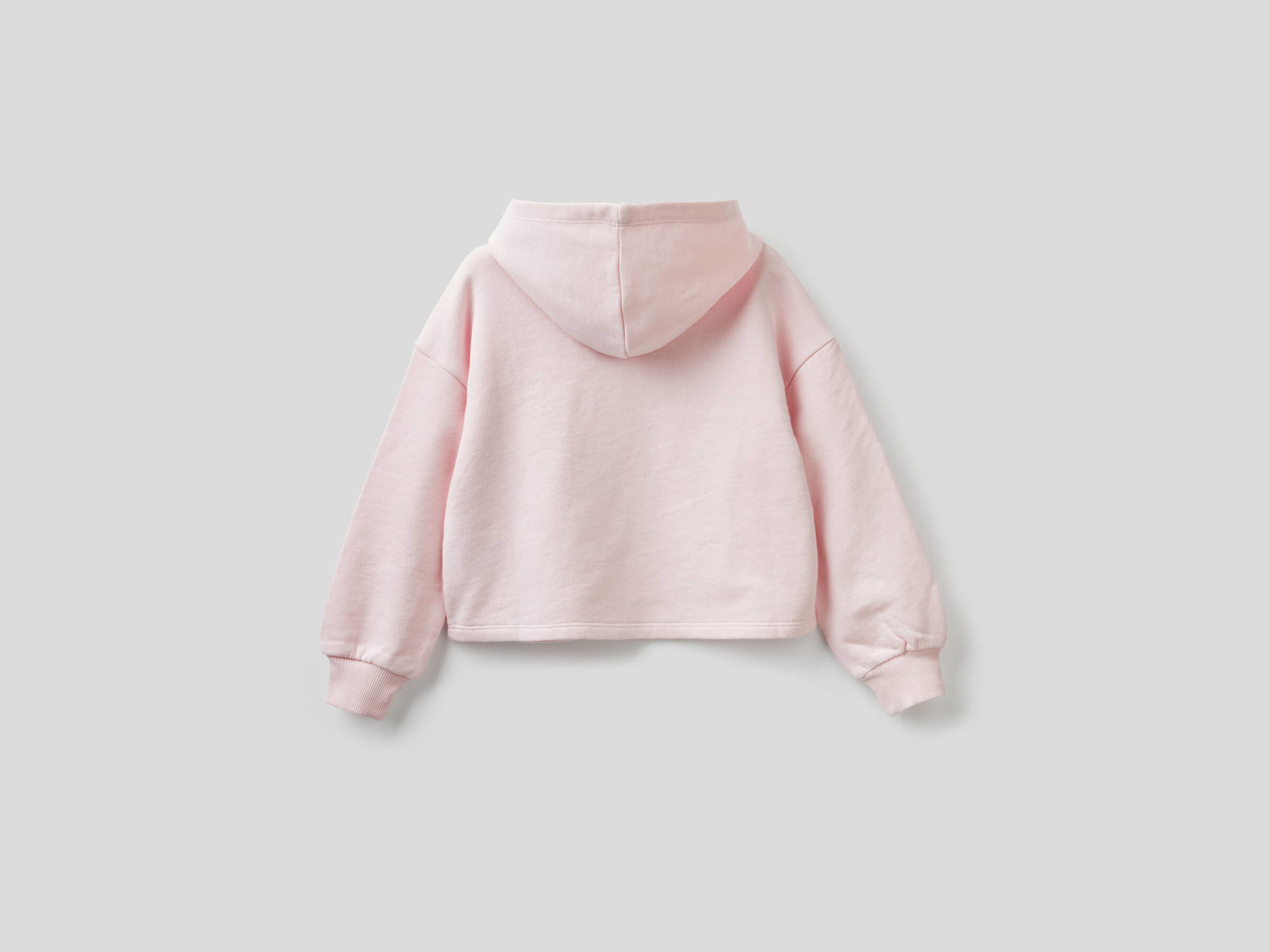 Sweatshirt in cotton with embroidered logo image number null