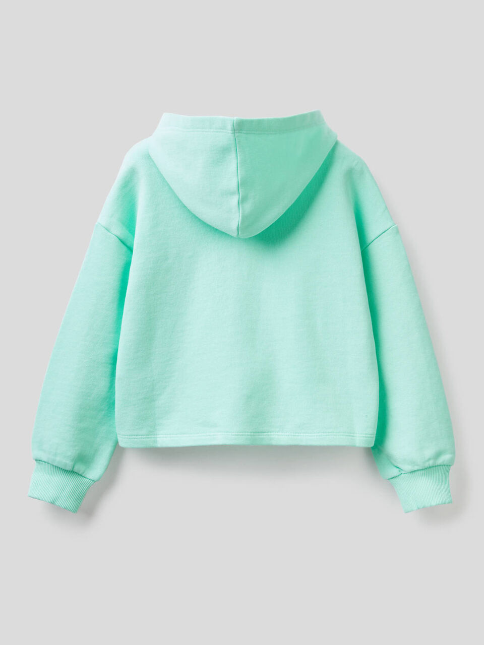 Sweatshirt in cotton with embroidered logo image number null
